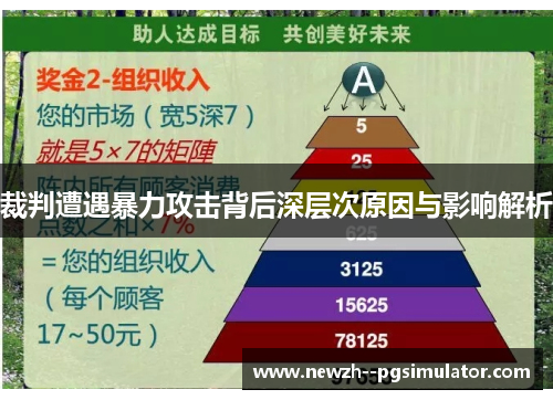 裁判遭遇暴力攻击背后深层次原因与影响解析 裁判遭遇暴力攻击背后深层次原因与影响解析