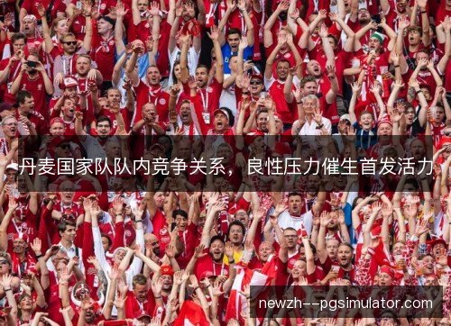 丹麦国家队队内竞争关系，良性压力催生首发活力